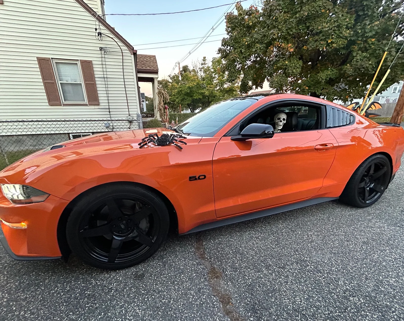 IMG_0718.webp