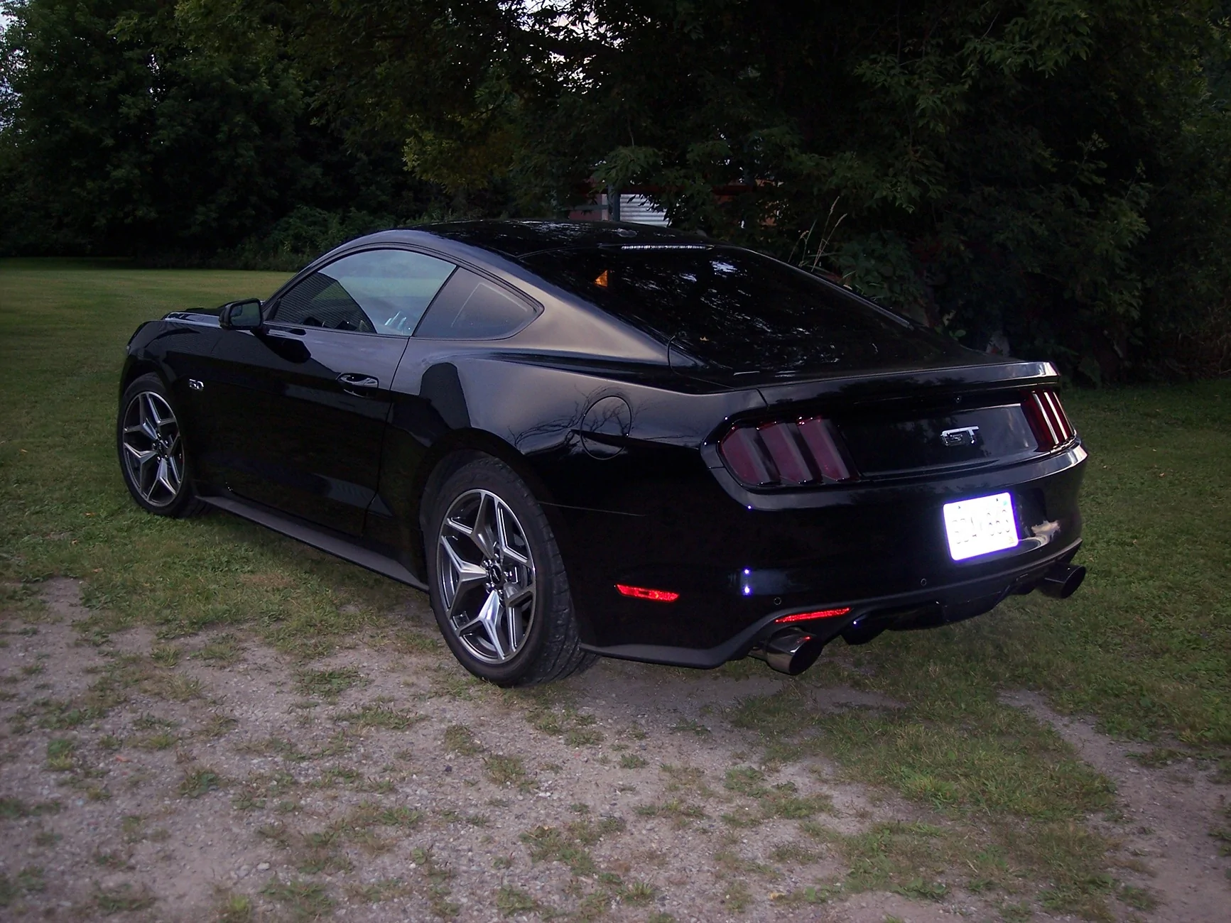 100_0517.webp
