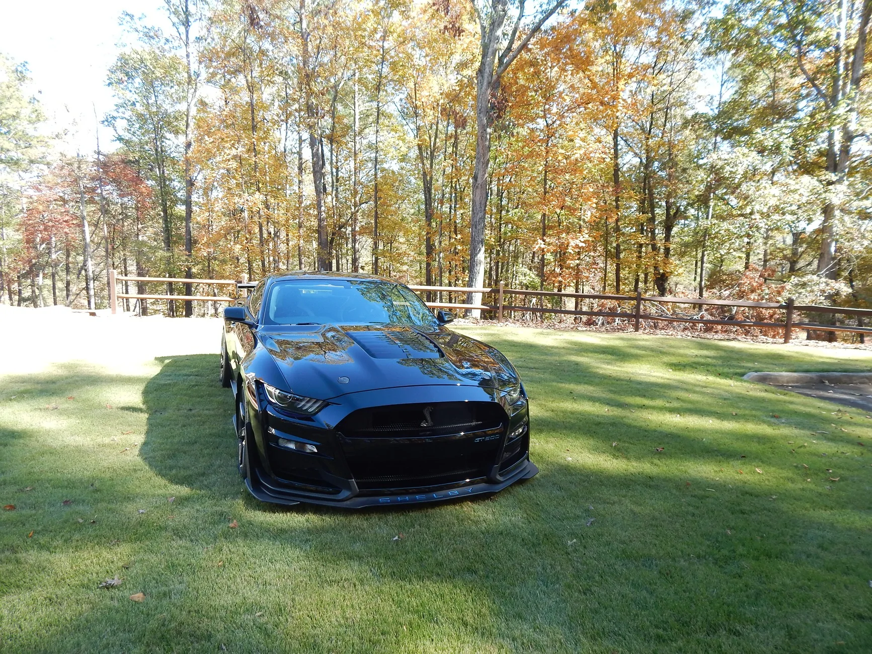 DSCN2697.webp