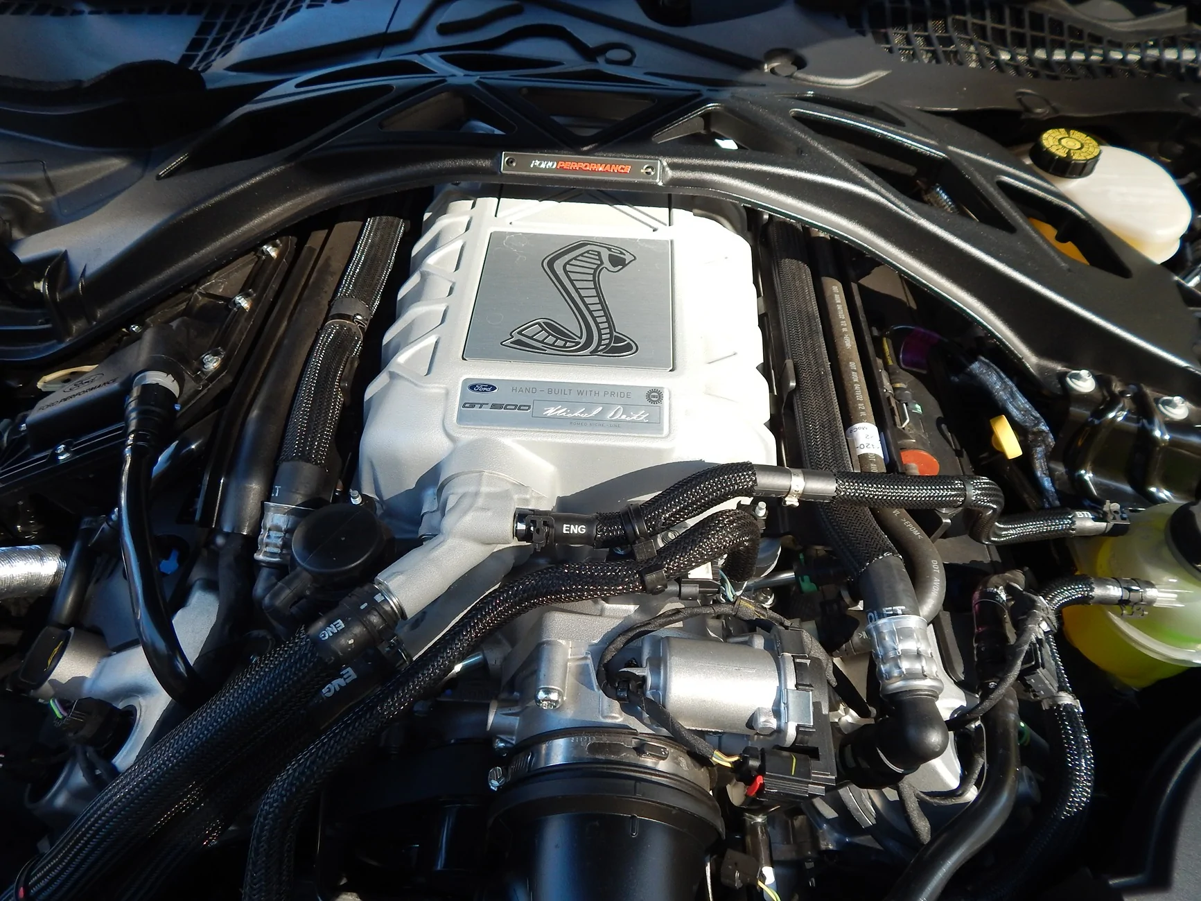DSCN2713.webp