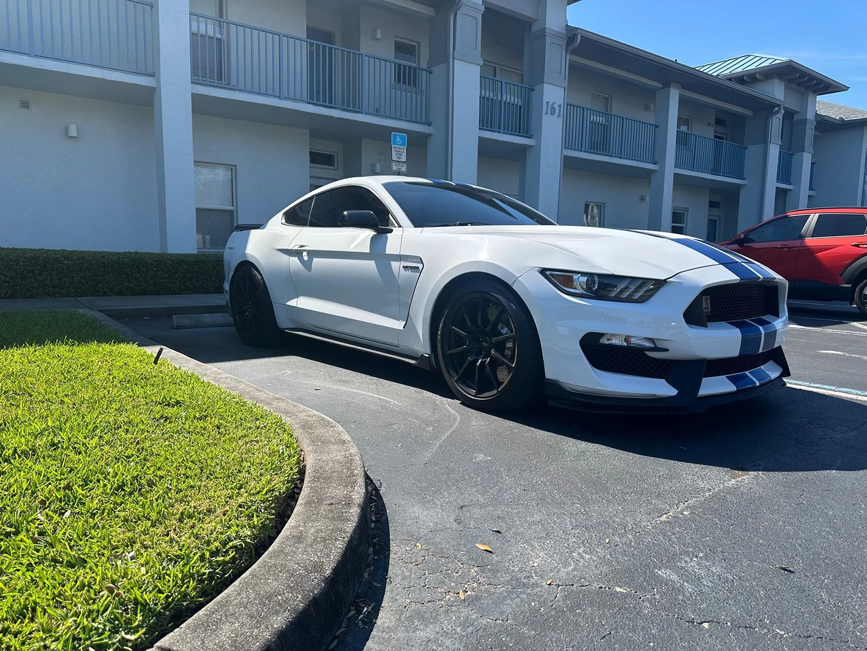 GT350 life | 2015+ S550 Mustang Forum (GT, EcoBoost, GT350, GT500