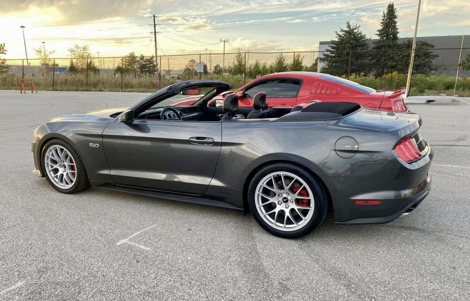 Stang Wheels.jpg