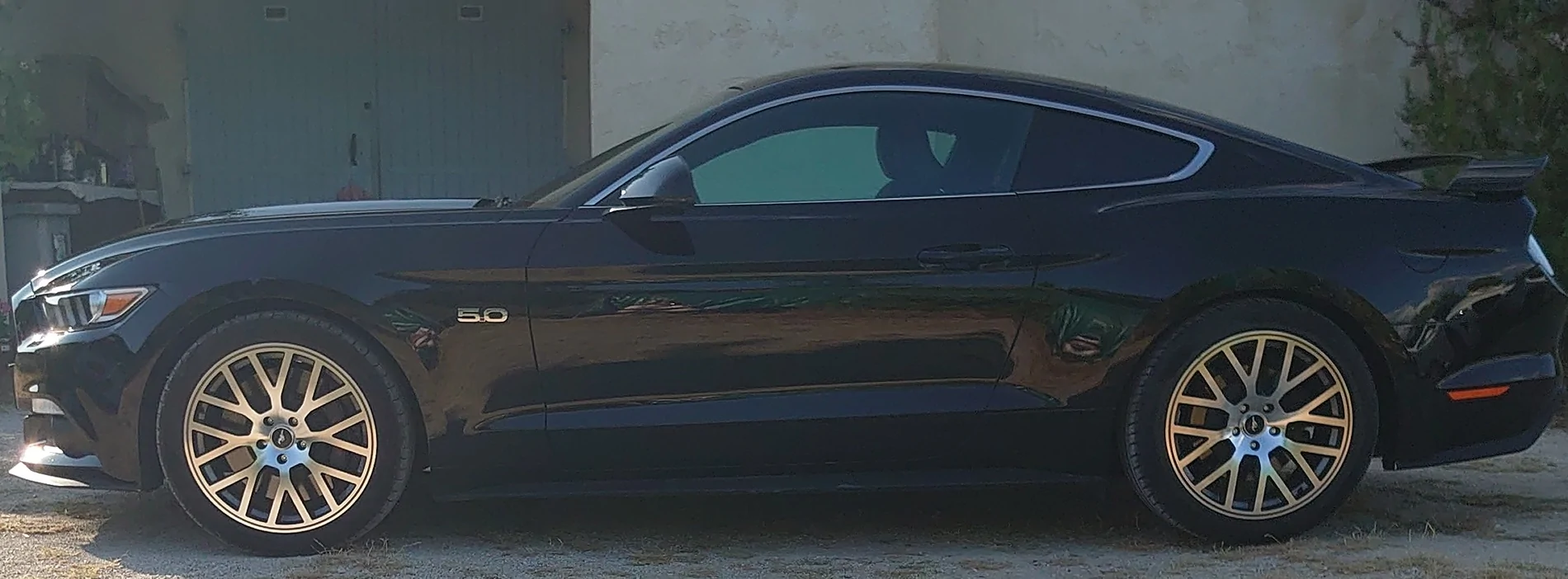 Mustang-2025-07-20-07-56-39.webp