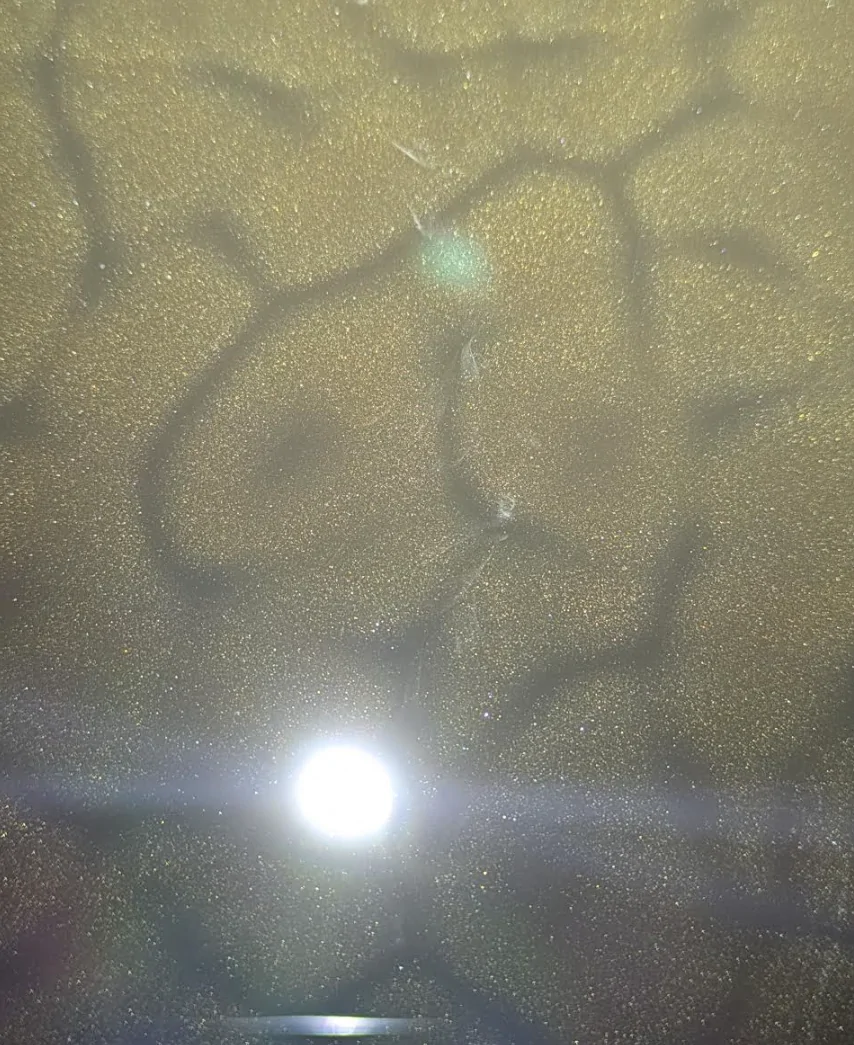 1764611919077-kw.webp