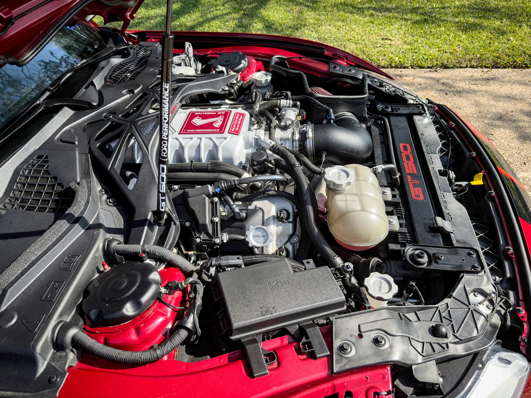 sarah-engine-bay-detailing_251213.webp