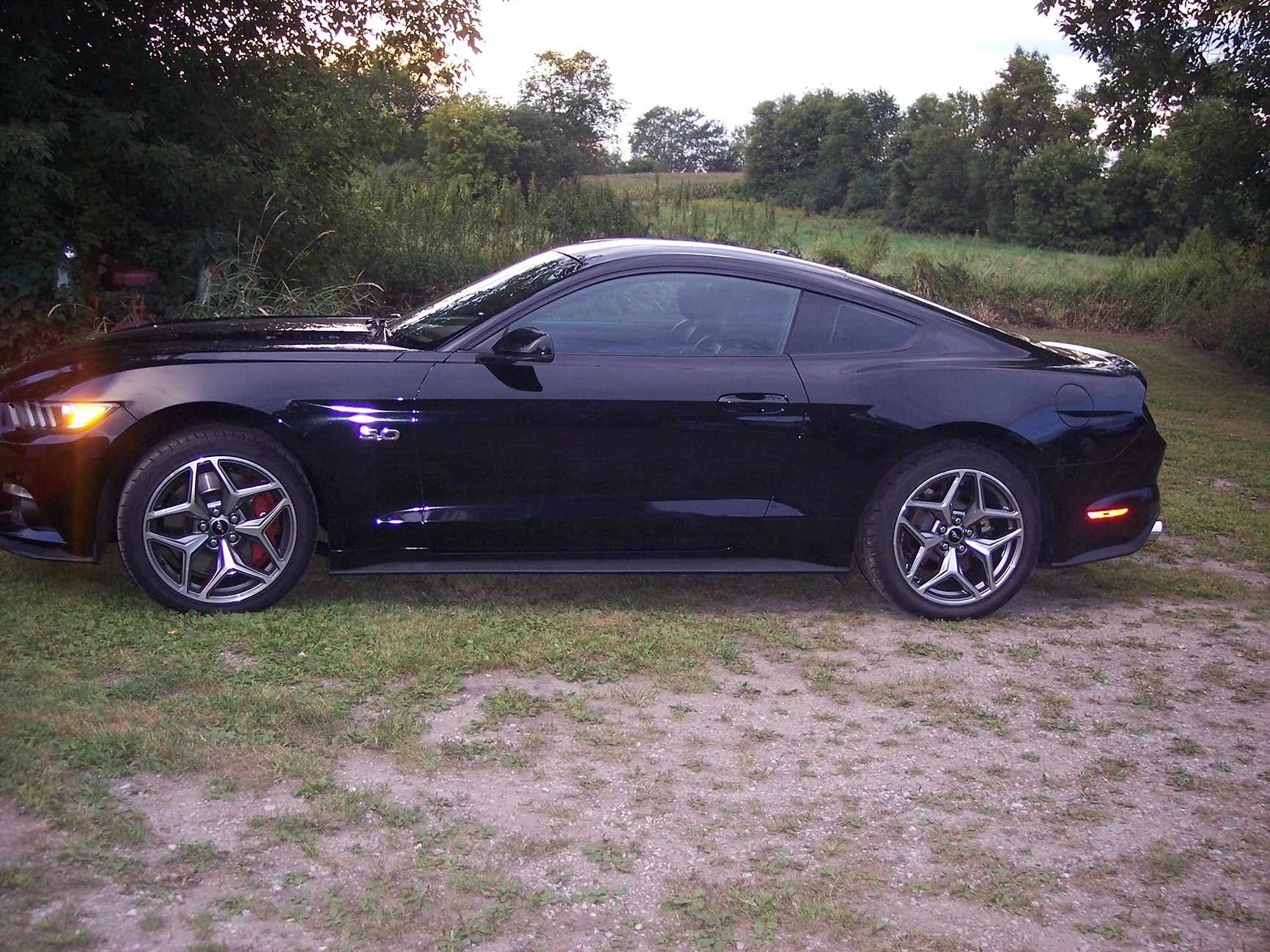 100_0514.webp