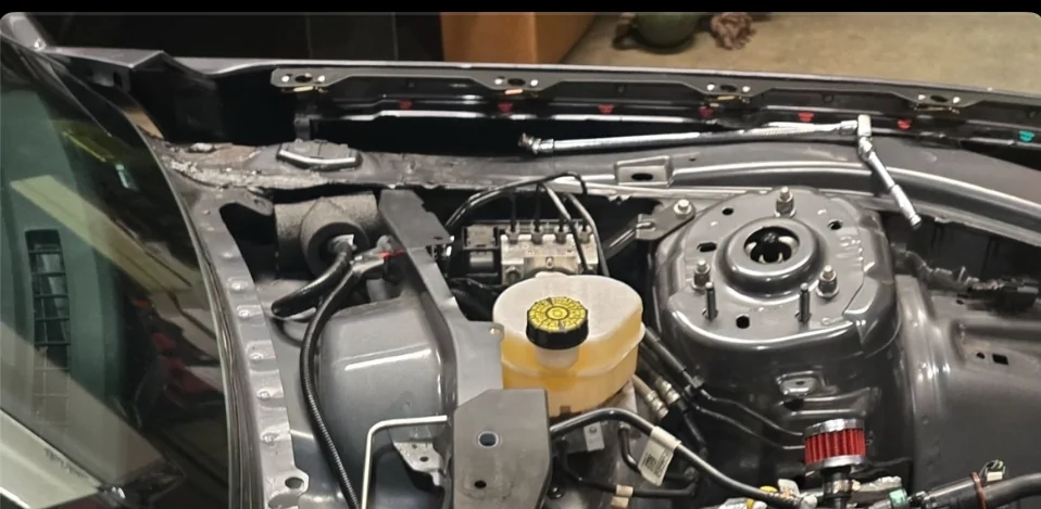 IMG_8921.webp