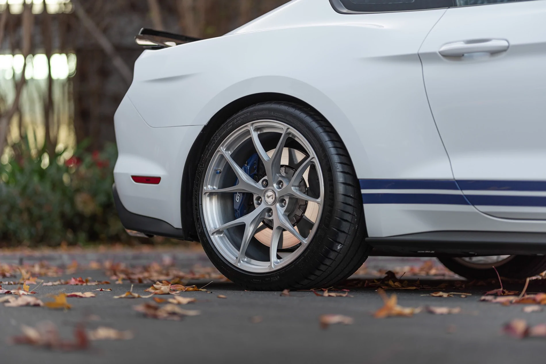 SV104 GT500 Brushed Aluminum DJ Stallion14.webp