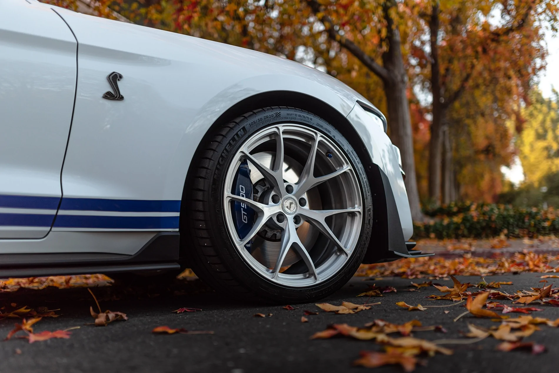SV104 GT500 Brushed Aluminum DJ Stallion36.webp