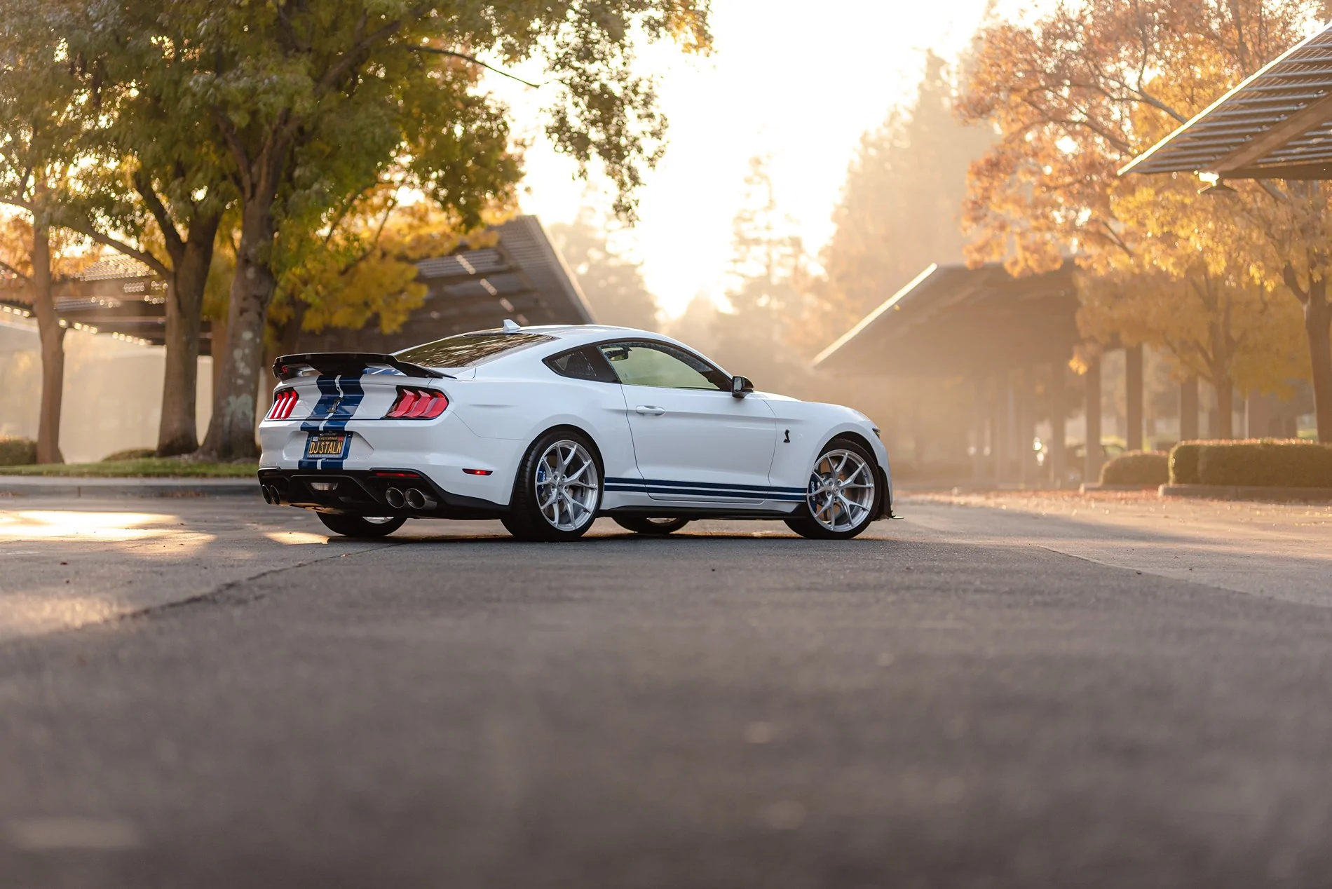 SV104 GT500 Brushed Aluminum DJ Stallion59.webp