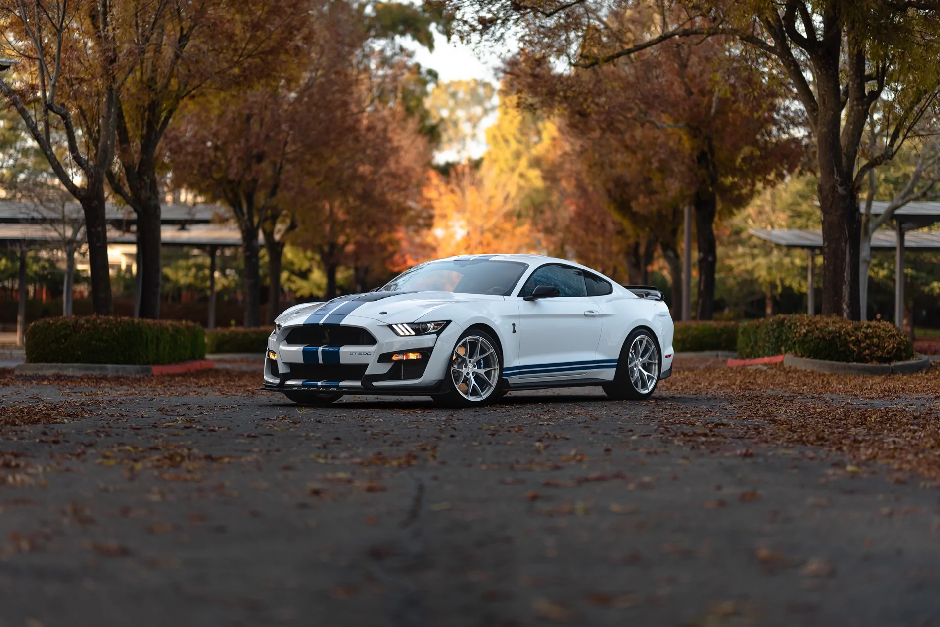SV104 GT500 Brushed Aluminum DJ Stallion50.webp