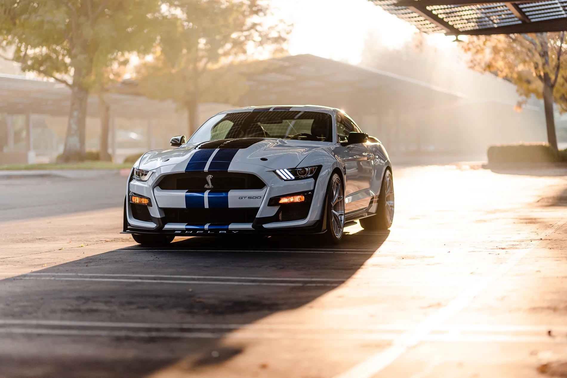 SV104 GT500 Brushed Aluminum DJ Stallion75.webp