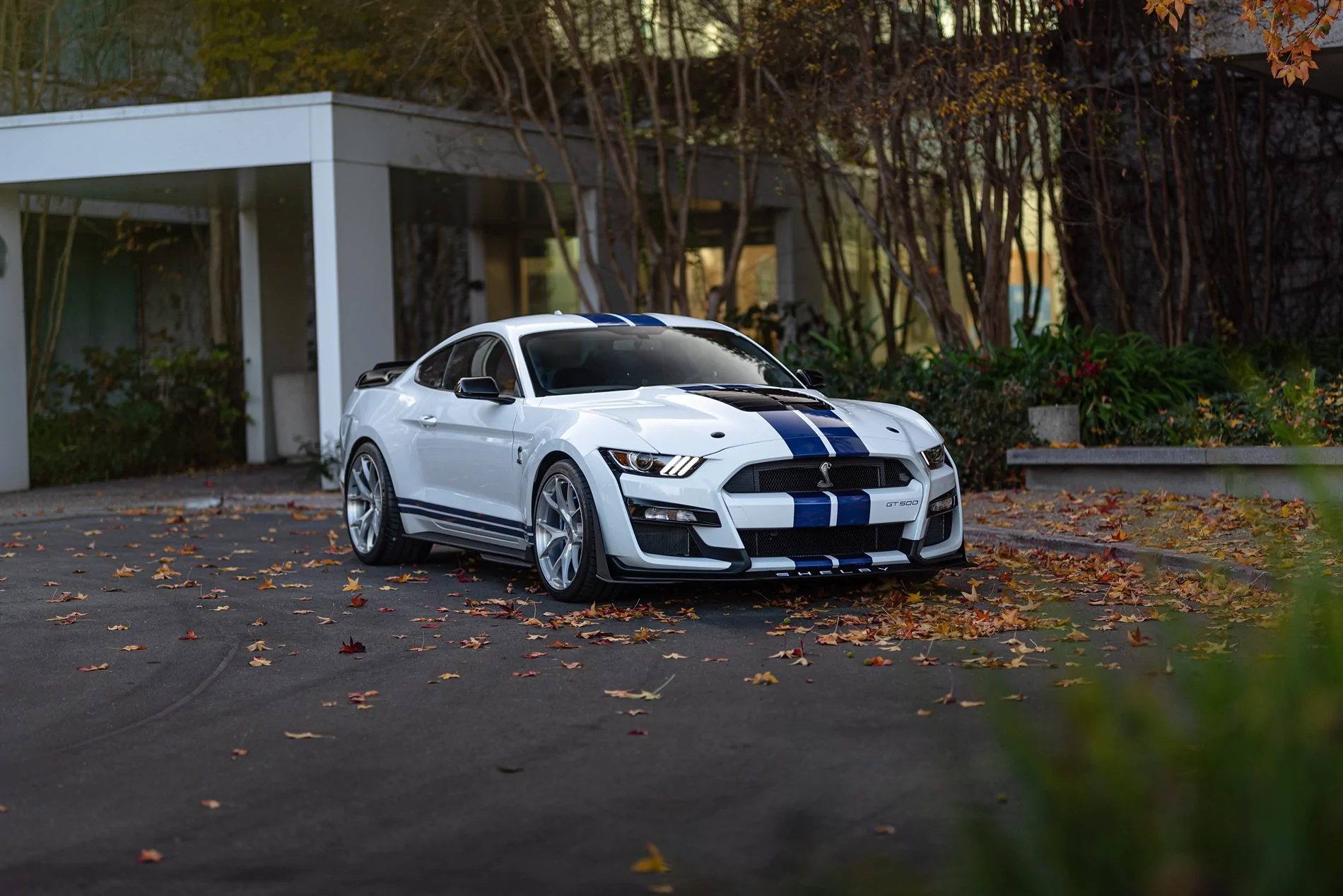 SV104 GT500 Brushed Aluminum DJ Stallion4.webp