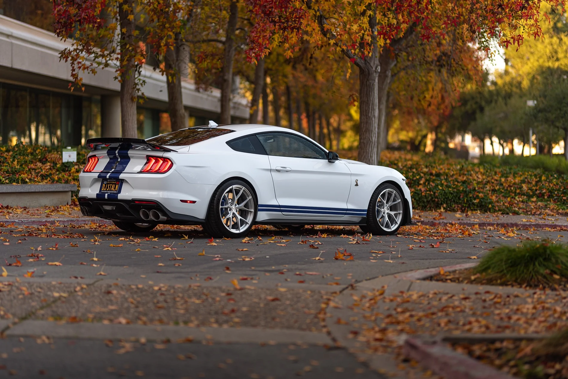 SV104 GT500 Brushed Aluminum DJ Stallion23.webp