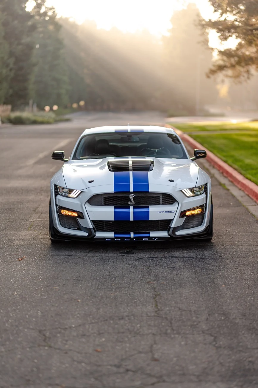 SV104 GT500 Brushed Aluminum DJ Stallion42.webp
