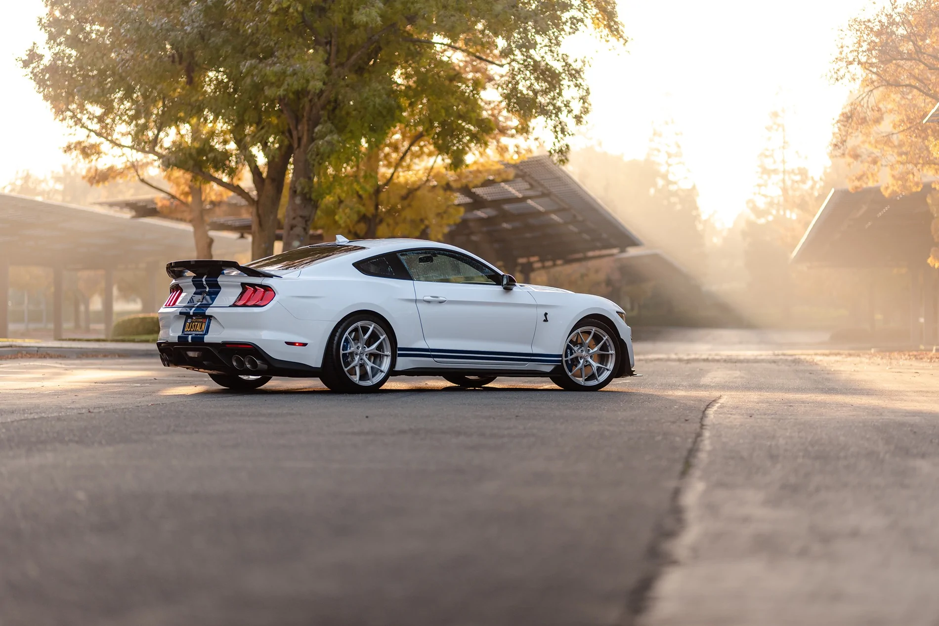 SV104 GT500 Brushed Aluminum DJ Stallion60.webp