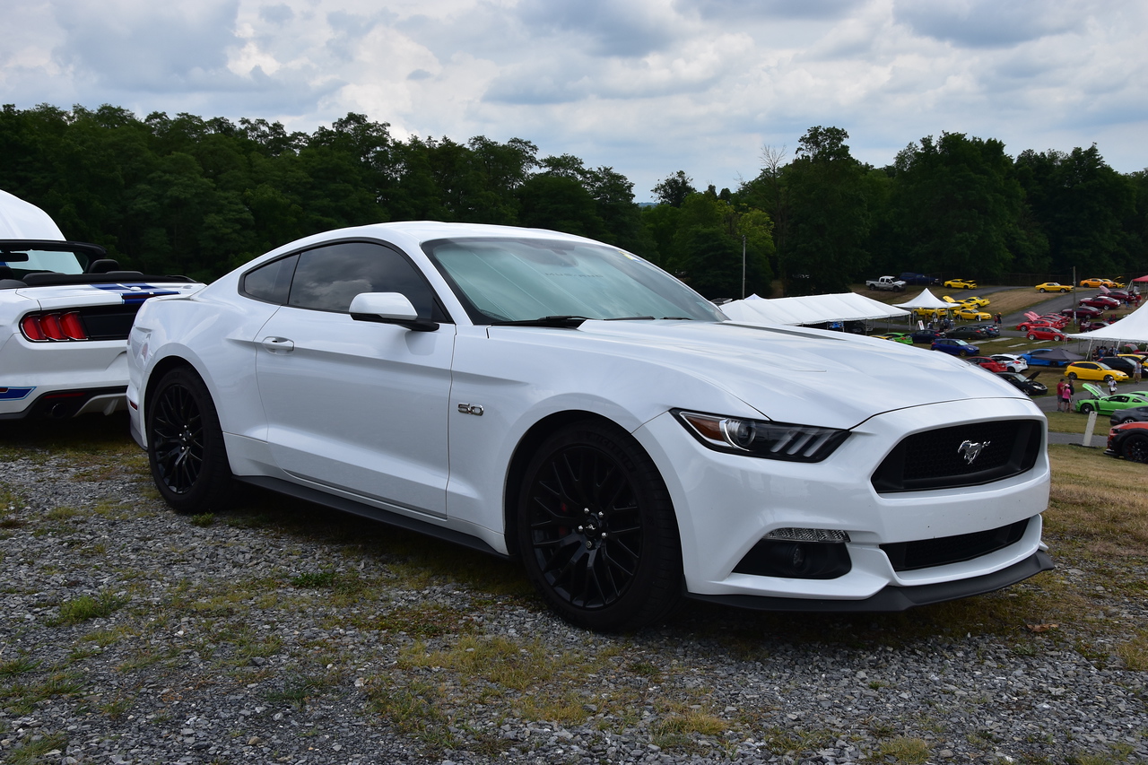 DSC_3654-X2.jpg