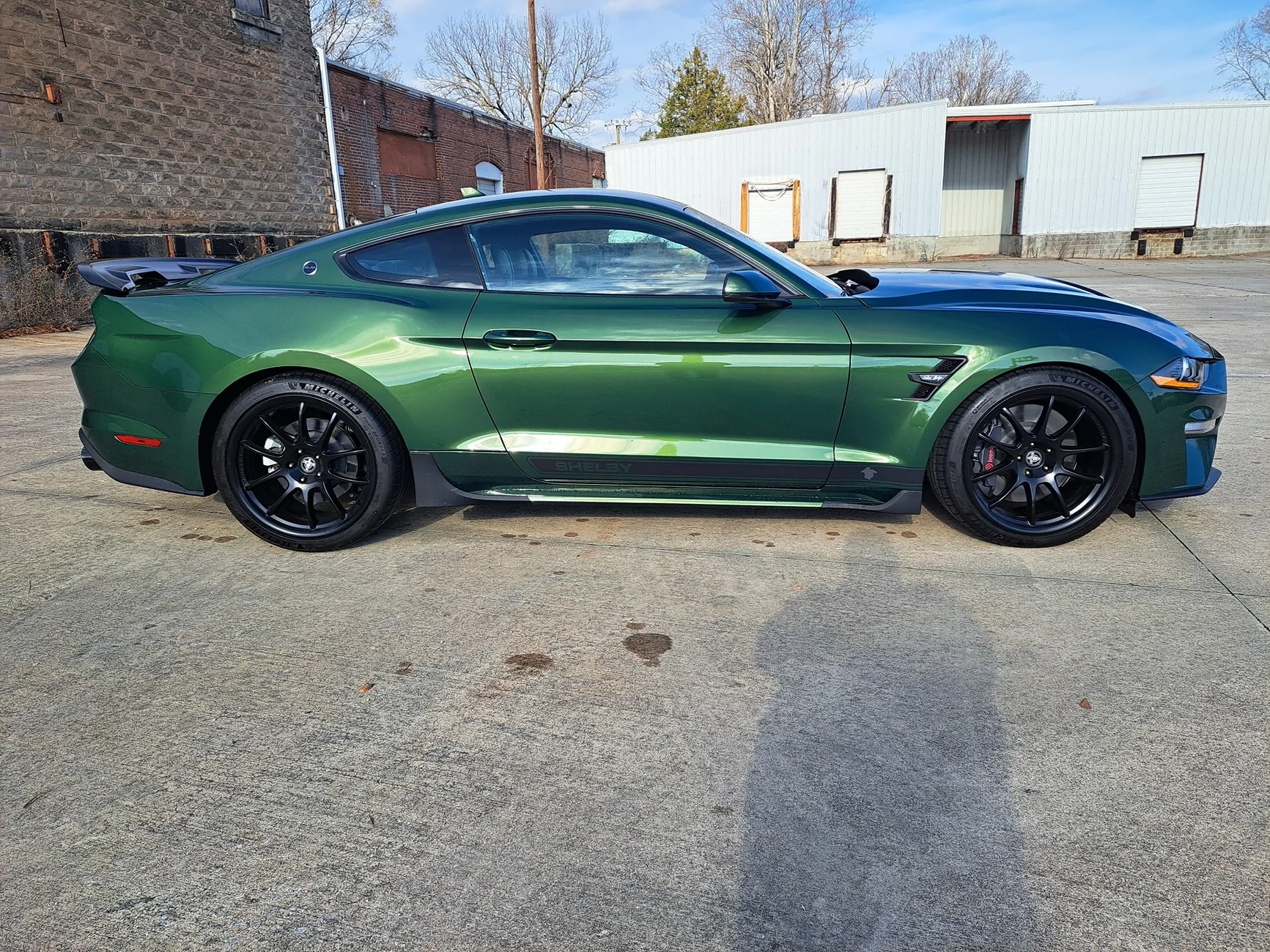Shelby4.webp