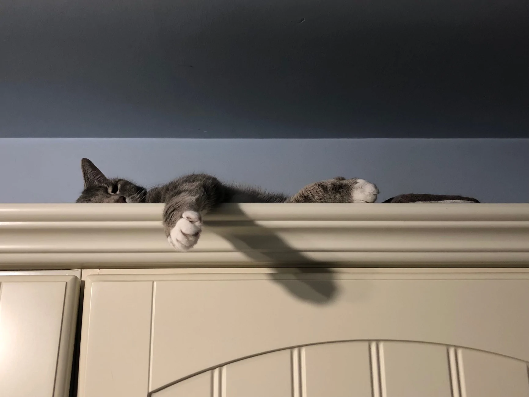1767081946337-oc.webp