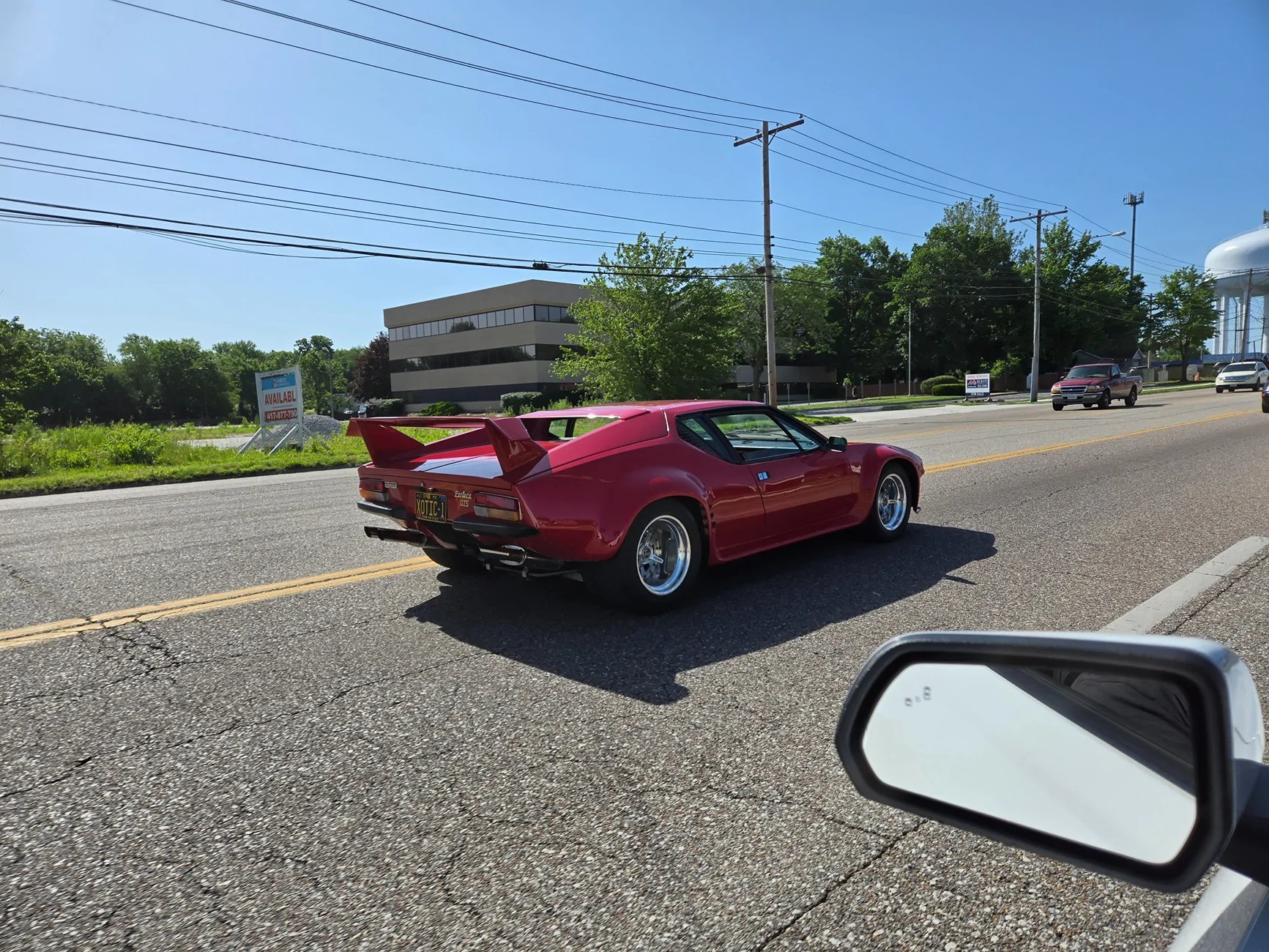 pantera1.webp