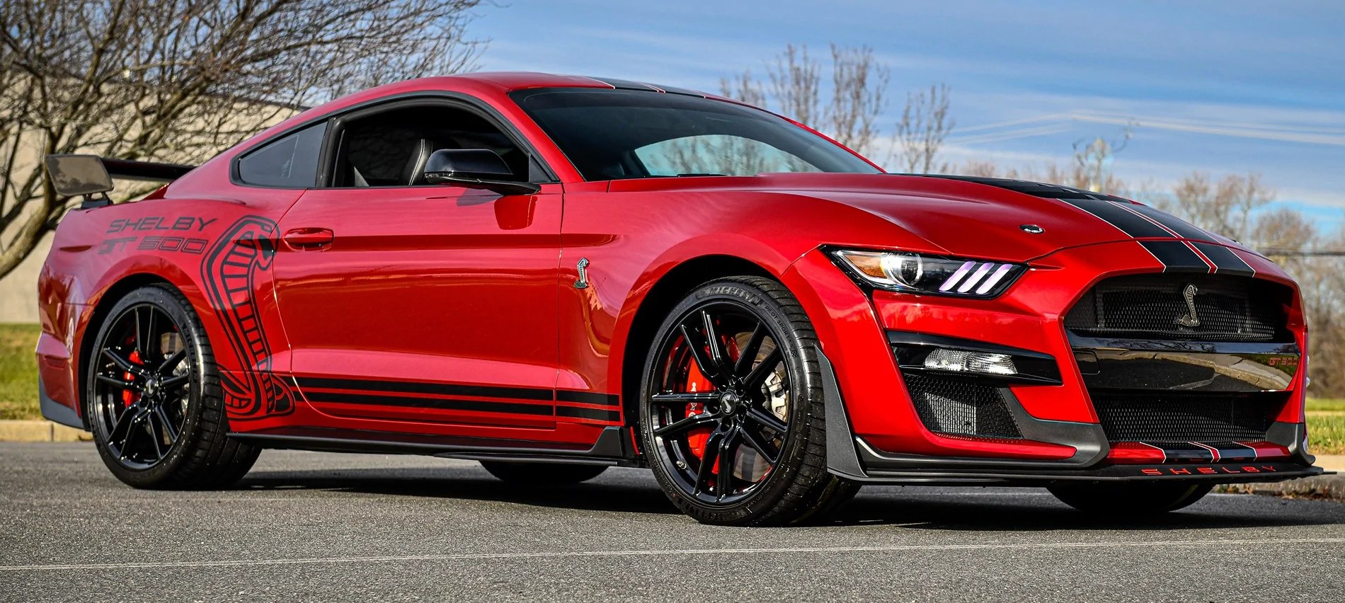 2020Shelby.webp