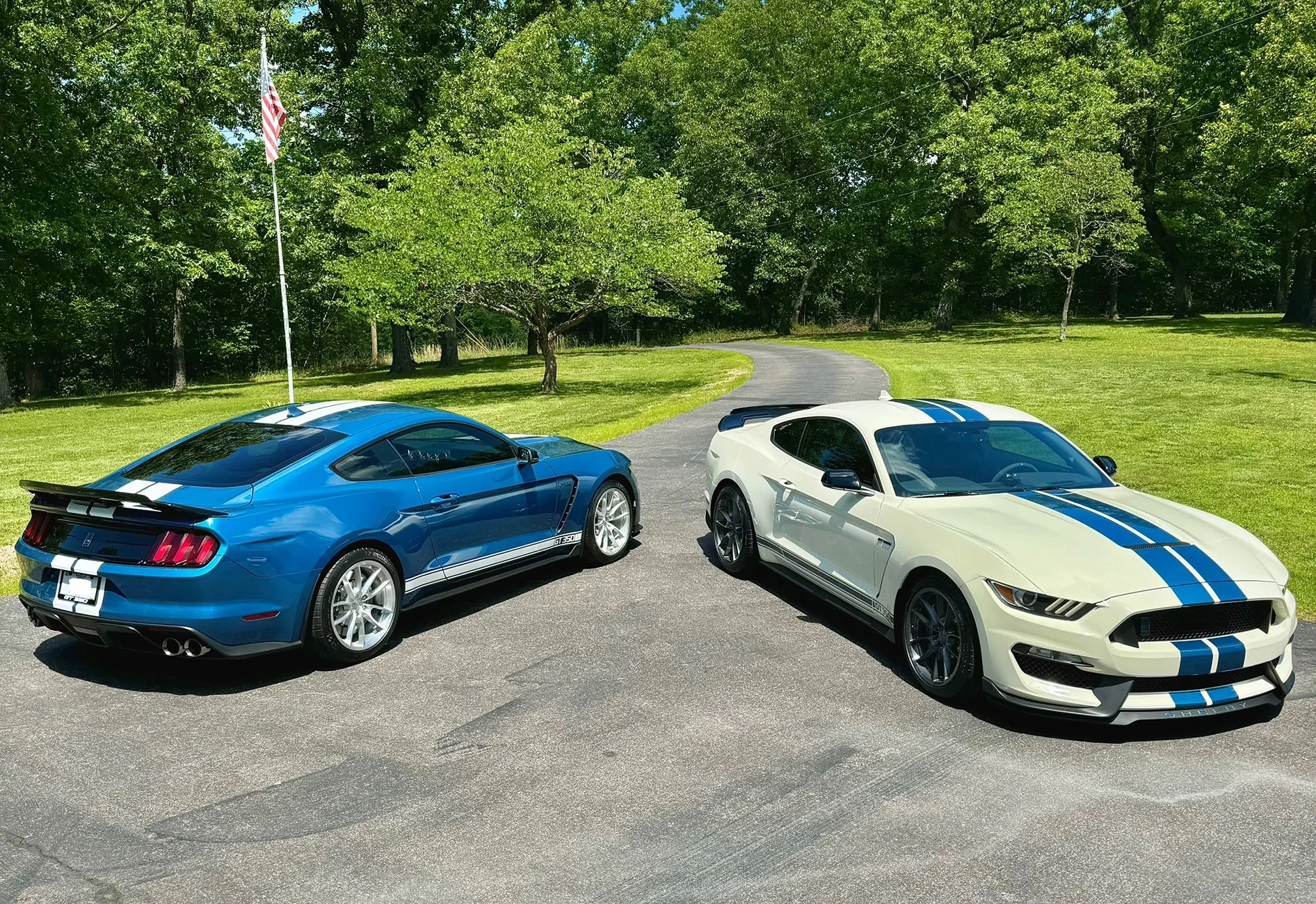 IMG_0886.webp