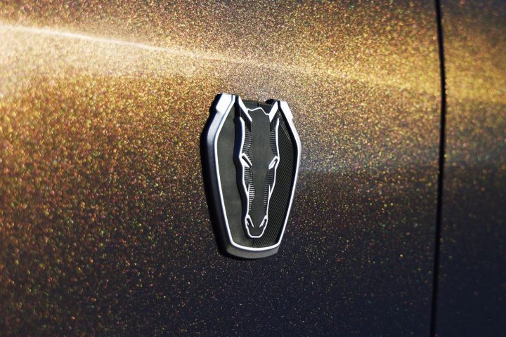 -Exterior-032-fender-Dark-Horse-logo-badge-720x480.jpg