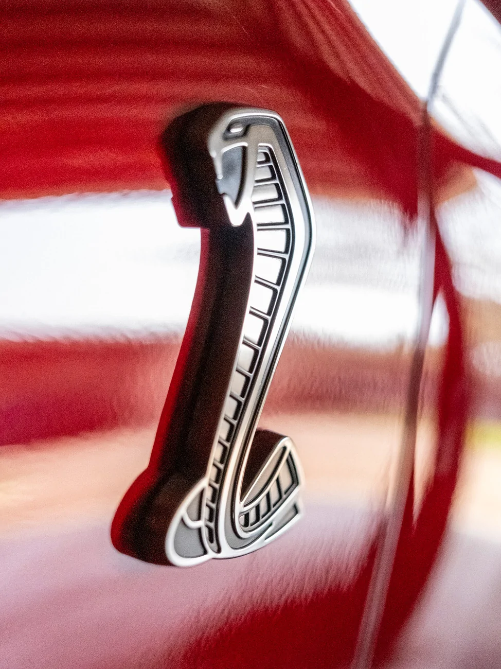 sarahs-driver-side-snake_01.webp