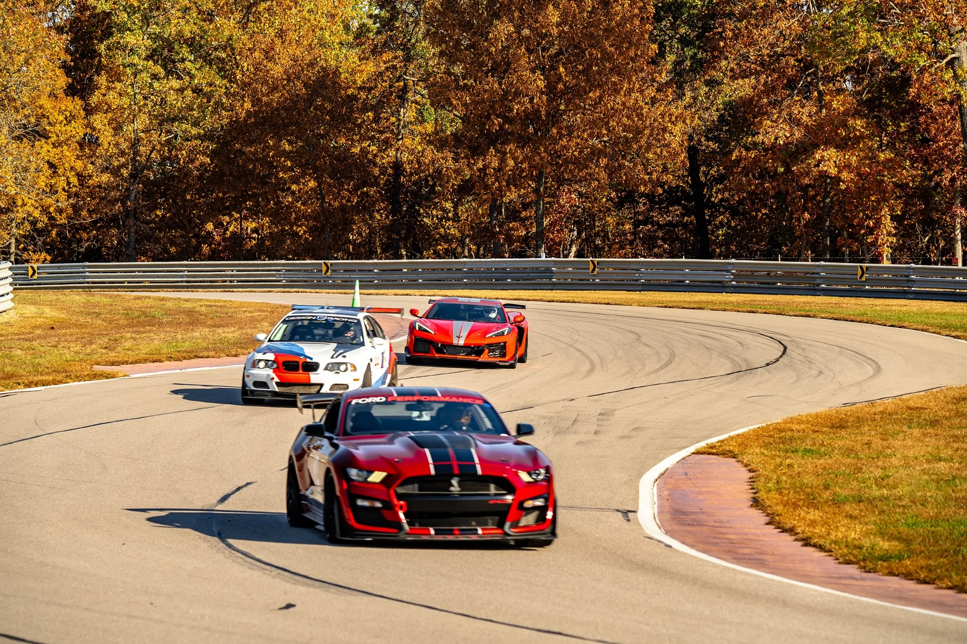 IMG_7798.webp