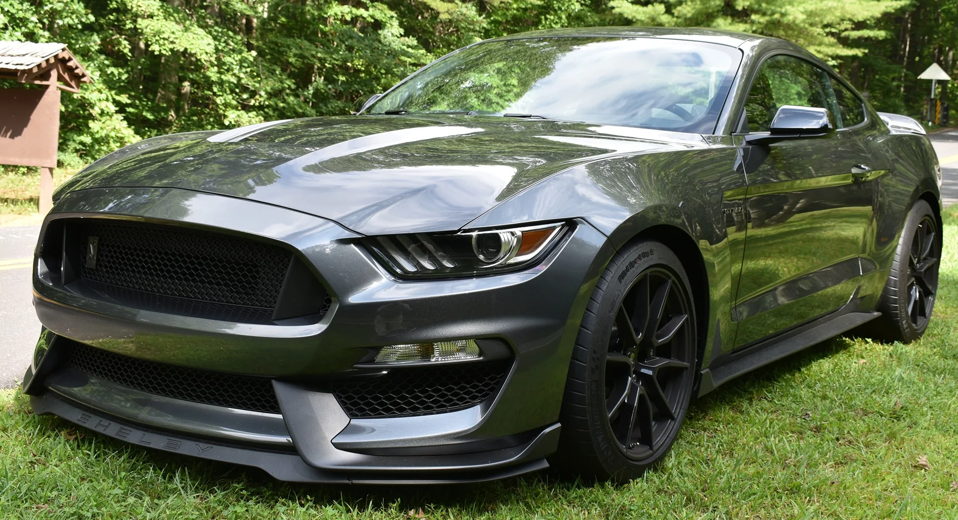 2019GT350a.webp