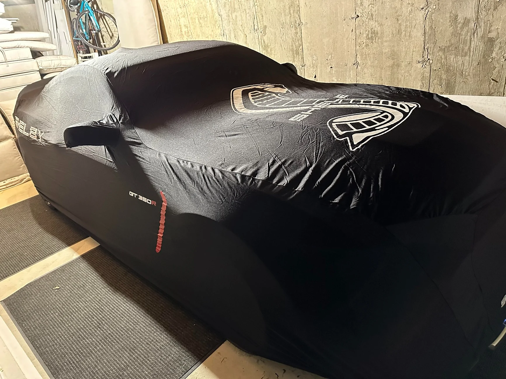 Shelby Cover.webp