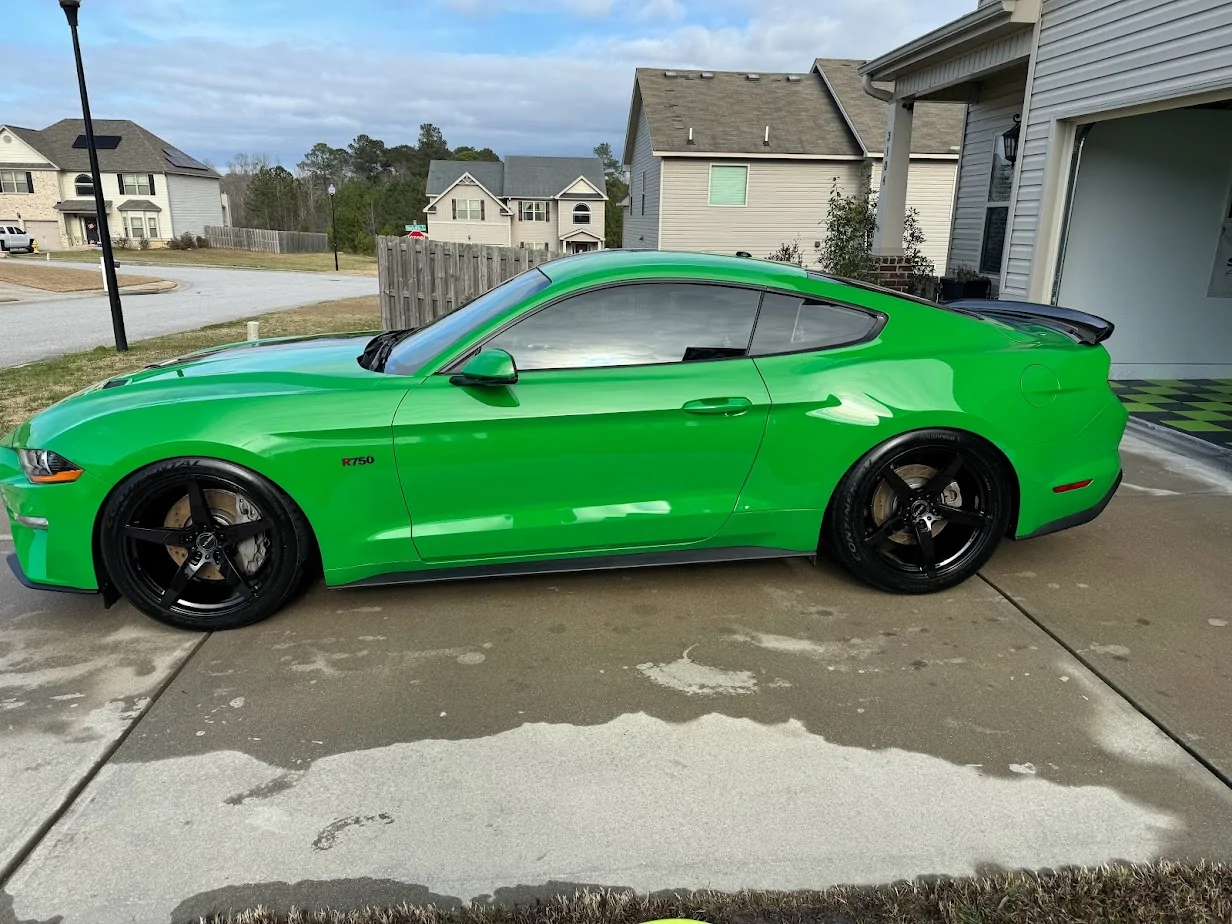 Contis on Car.webp