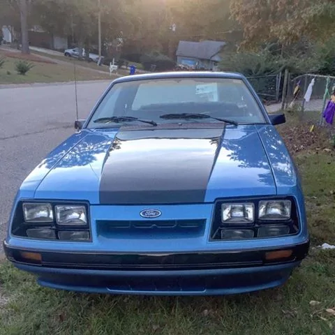 Mustang 1.webp