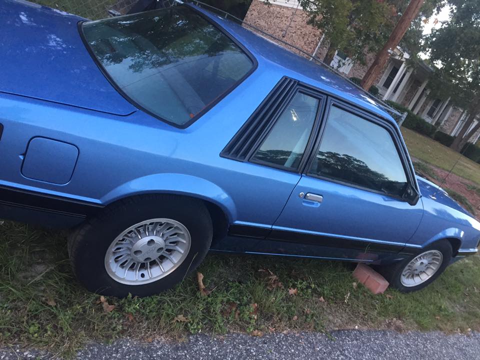 Mustang 2.jpg
