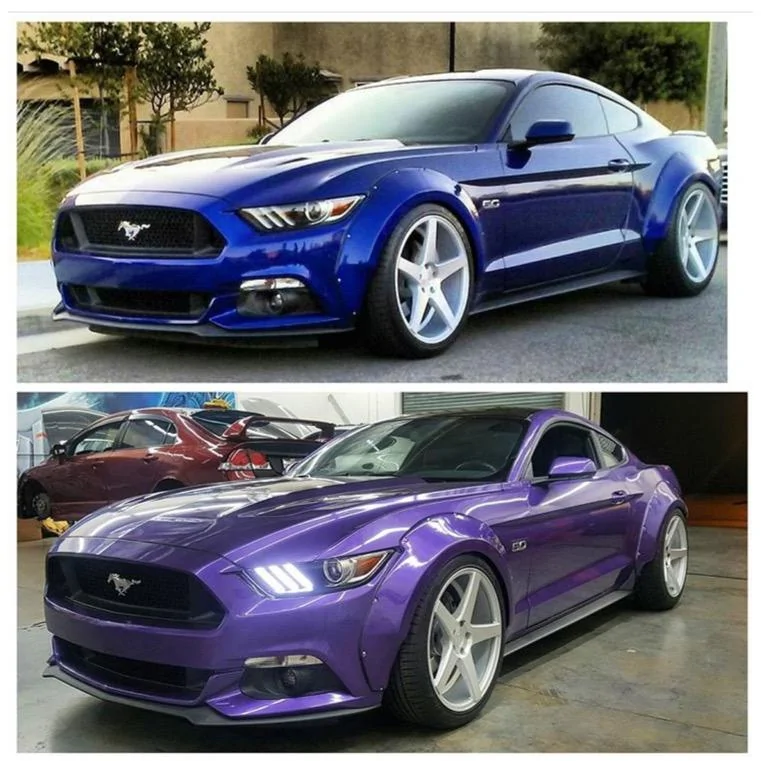 image purp.webp