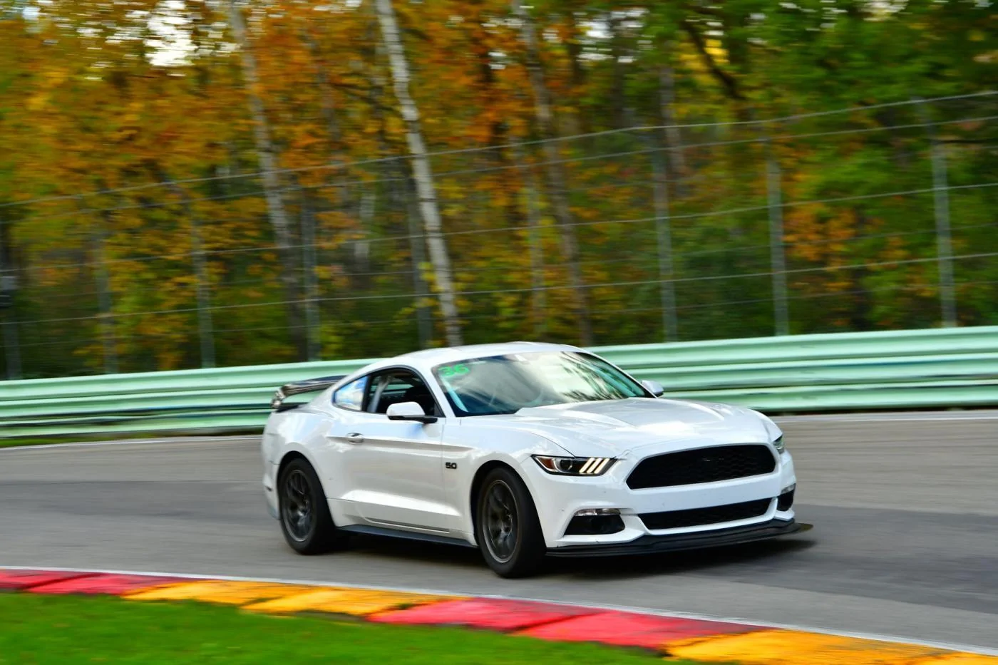 C52_5231 Small.webp