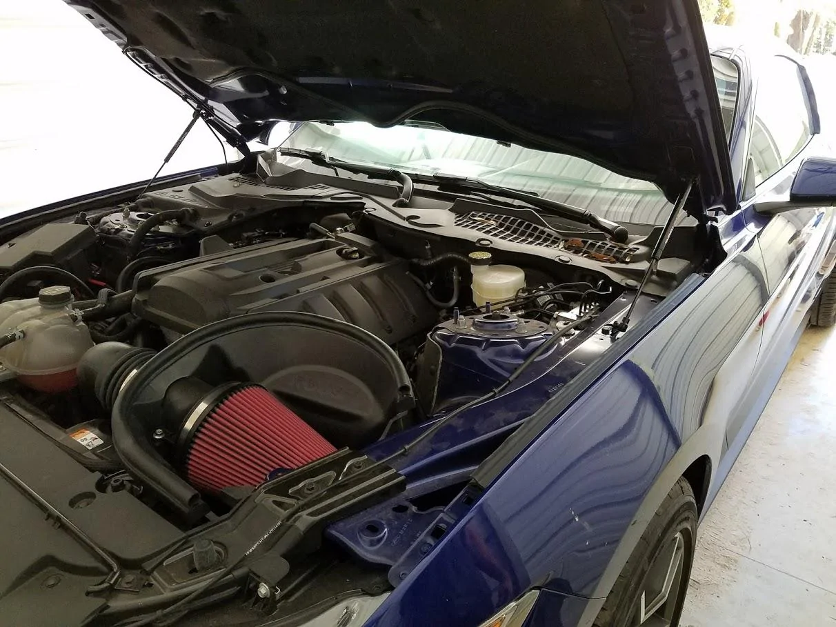 2015-redline-hood-struts.webp