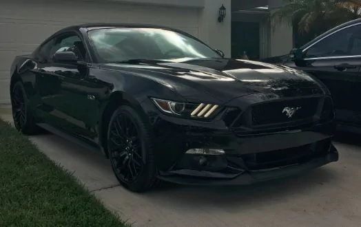 stang.webp