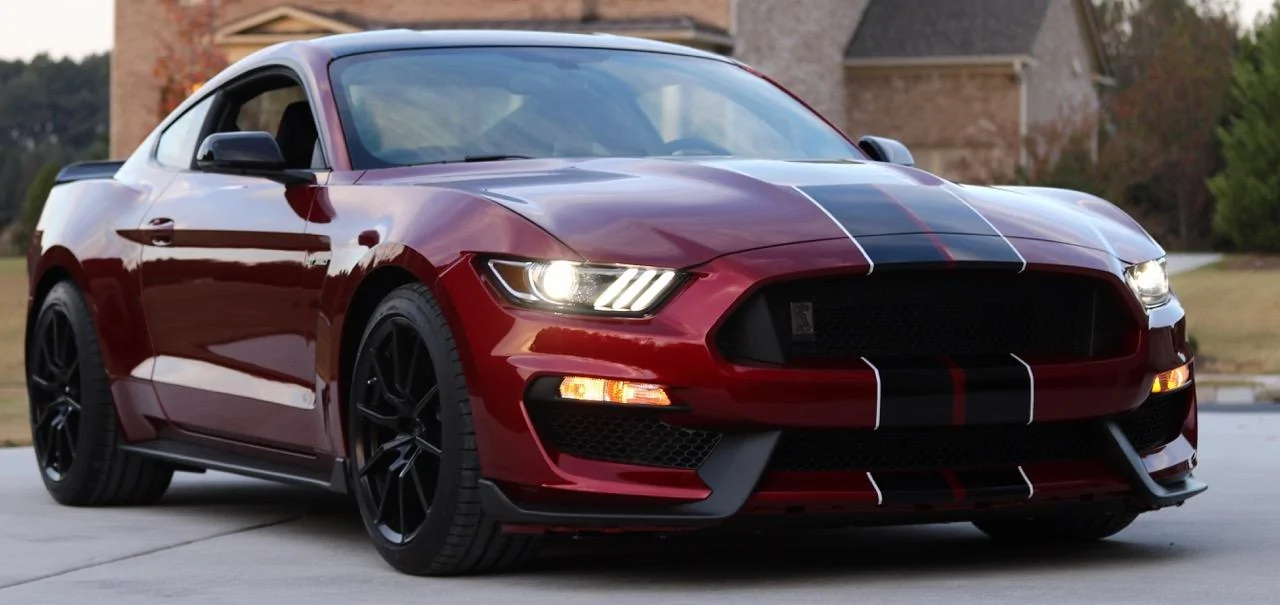 Shelby_Front.webp