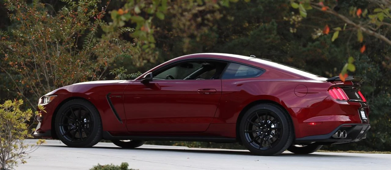 Shelby_Side.webp