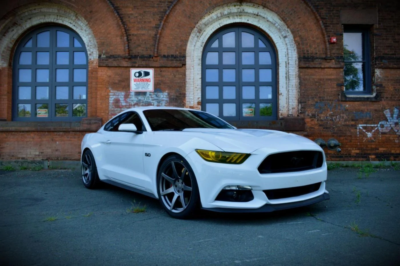 Mustang_7.webp