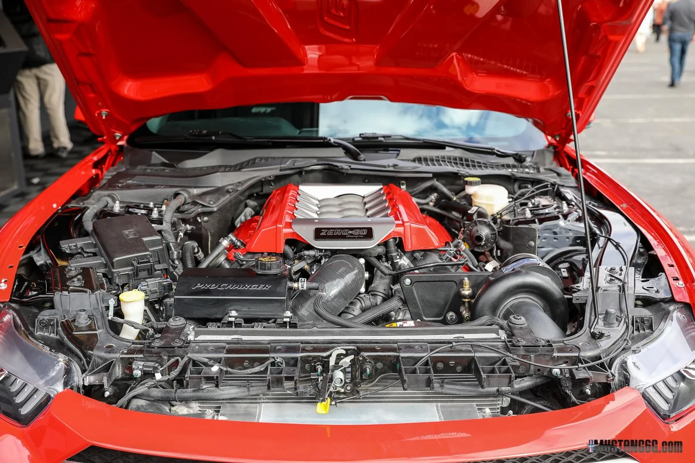 Zero to 60 Mustang GTT-12.webp