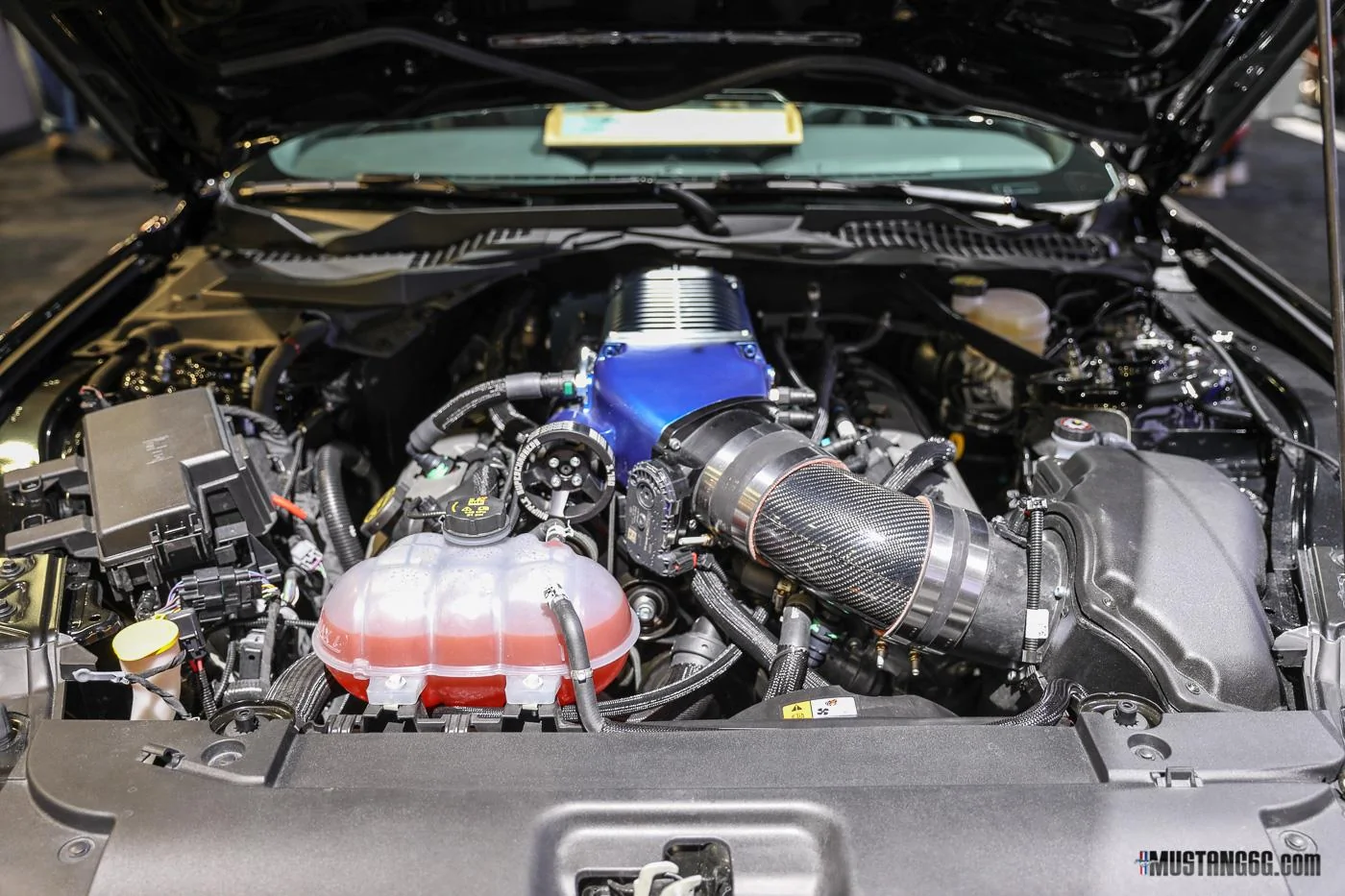 SpeedKore Performance 2017 Mustang GT SEMA-3.webp