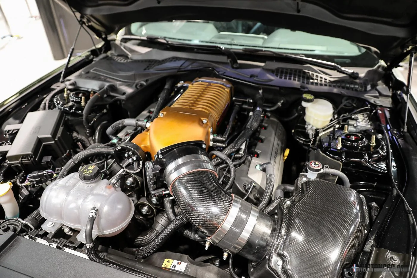 Alphamale Performance S550 Widebody Mustang-8.webp