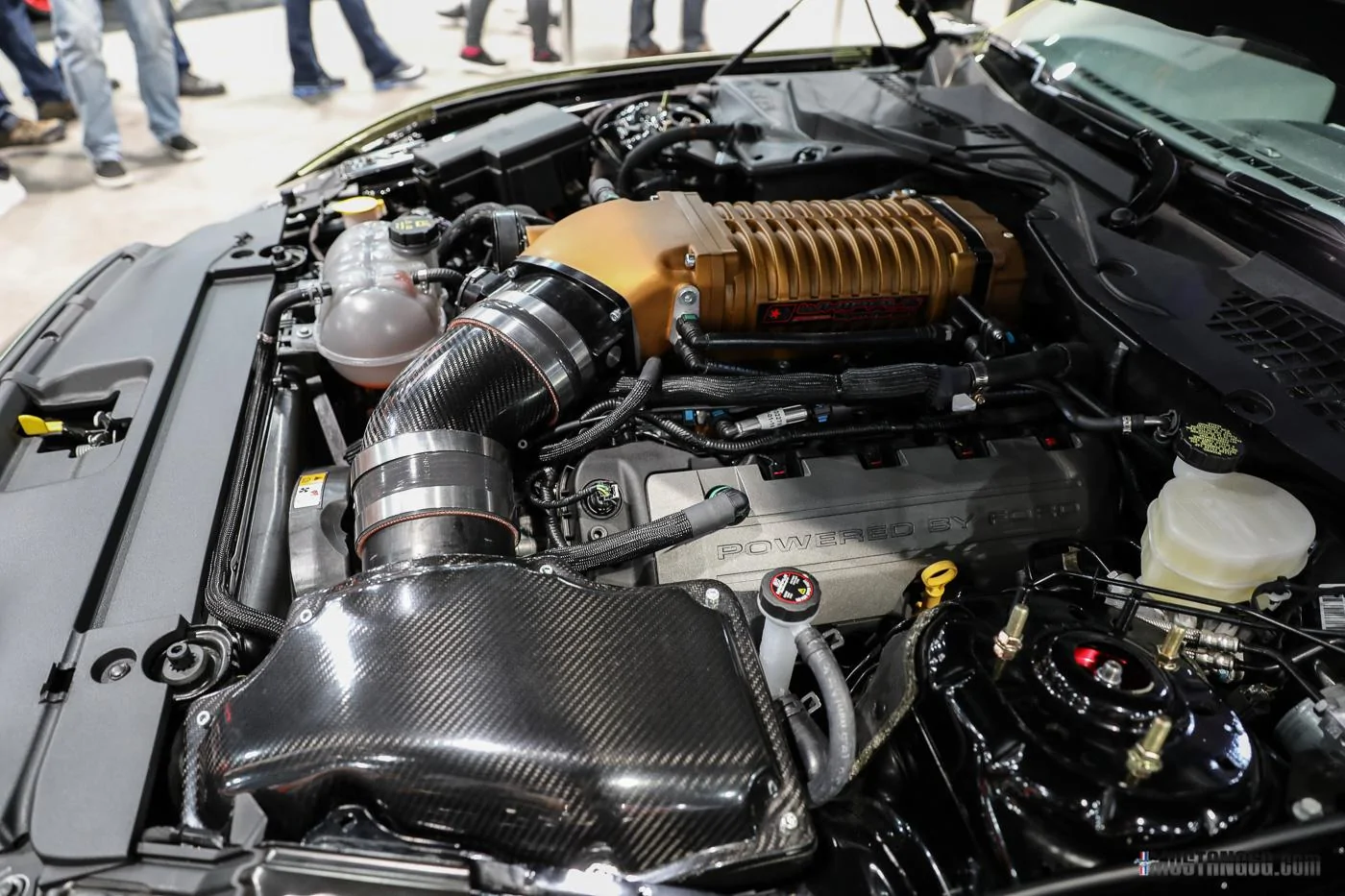 Alphamale Performance S550 Widebody Mustang-9.webp