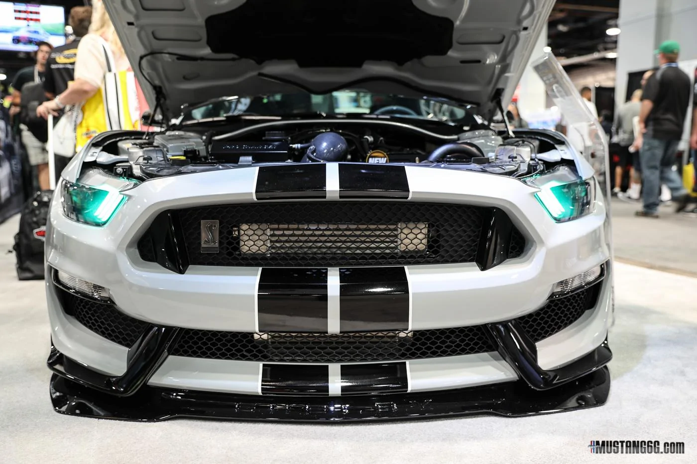 ProCharger GT350 Mustang SEMA-3.webp