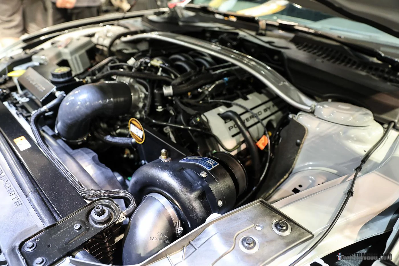 ProCharger GT350 Mustang SEMA-5.webp