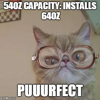 Cat Meme.webp