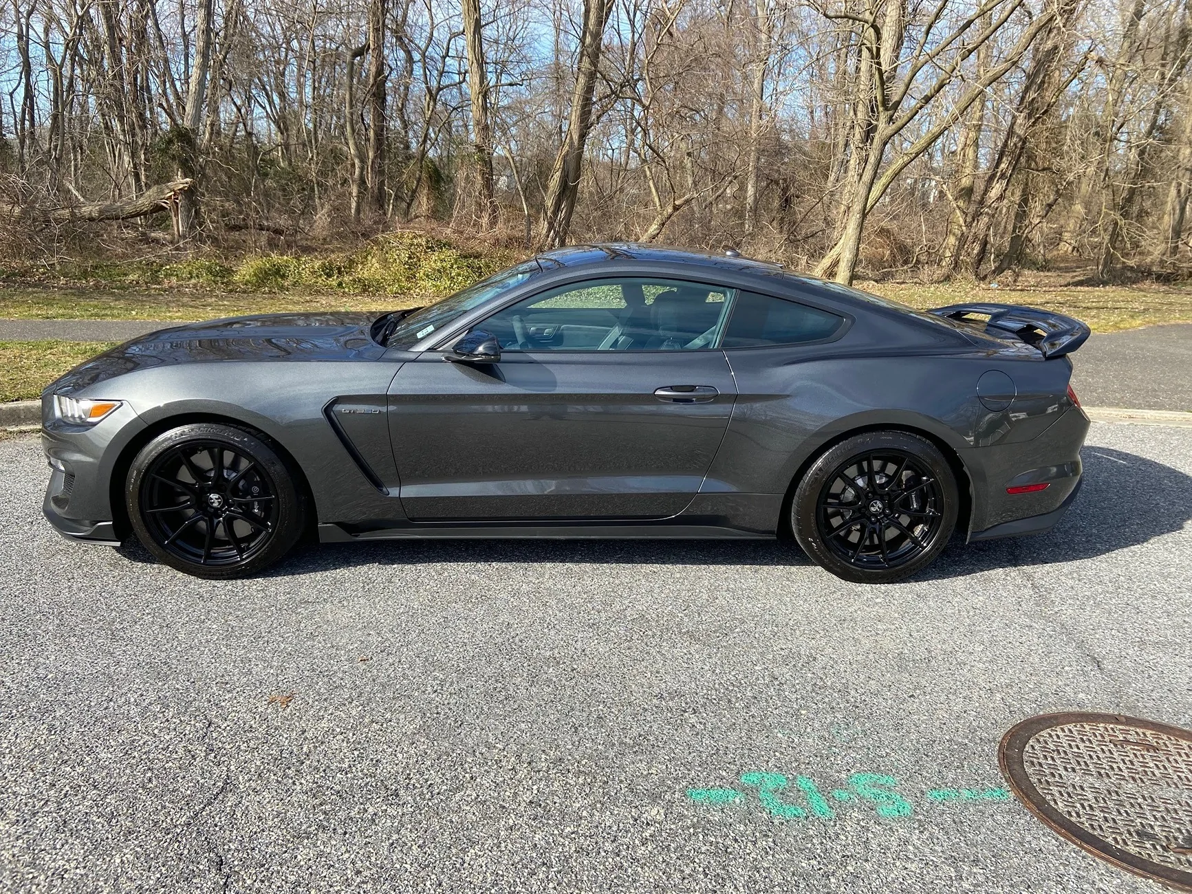 Mustang GT350.webp