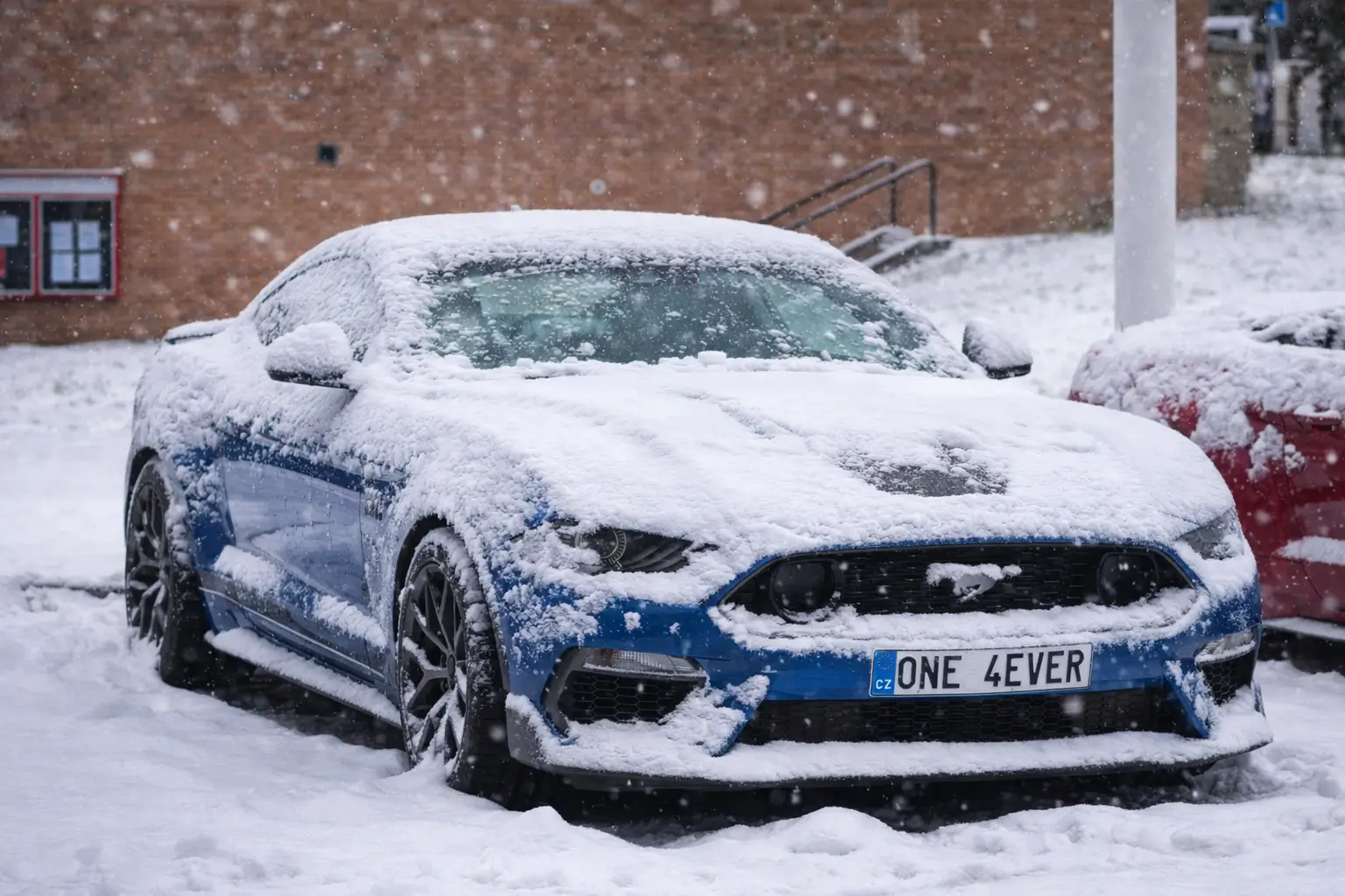 winter.webp